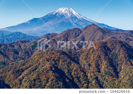 Mt.Fuji and the mountain range of colored leaves seen from the Tanzawa Mountains and the Hidomaru ridgeline Mt.Fuji and the mountain range of colored leaves seen from the Tanzawa Mountains and the Hidomaru ridgeline 104826658