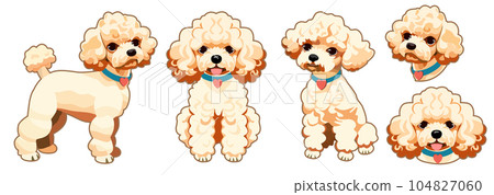 Toy poodle, sticker set, toy poodle, sticker set, png Toy poodle, sticker set, toy poodle, sticker set, png 104827060