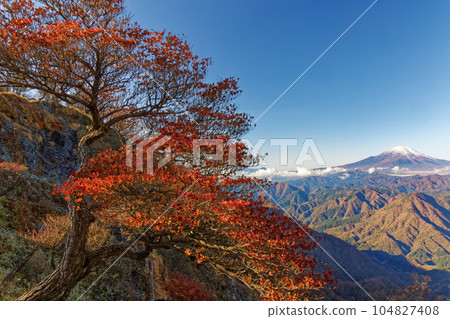 白雪皚皚的富士山 白雪皚皚的富士山 104827408