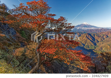 白雪皚皚的富士山 104827409