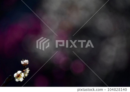 梅花在空中怒吼 104828140