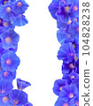 藍色牽牛花花框素材 104828238