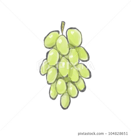 Watercolor illustration of fresh and delicious grapes / Muscat 104828651