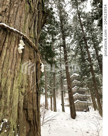 羽黑山國寶五層塔和大杉 104828954