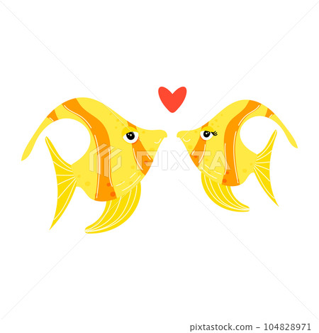 Two cute angelfish love each other, isolated on a white background. Two cute angelfish love each other, isolated on a white background. 104828971