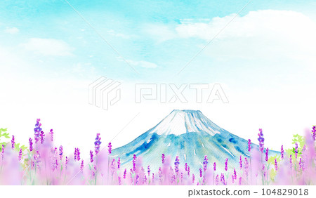 Mount Fuji and lavender fields Background material Mount Fuji and lavender fields Background material 104829018