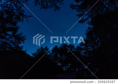 黎明前在森林裡迎接你 104829187