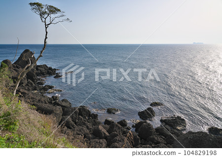 [View from Araizaki Shrine] Arai, Ine-cho, Yosa-gun, Kyoto Prefecture 104829198