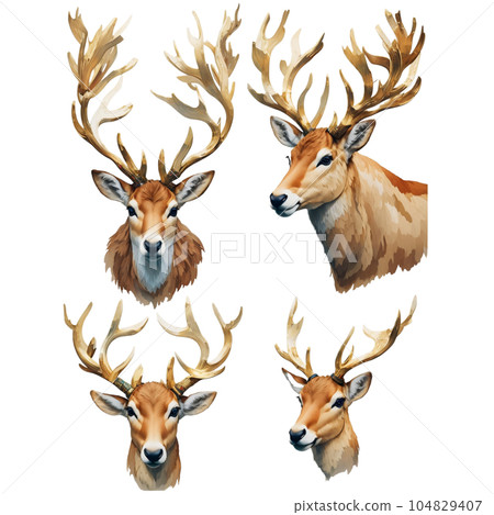 watercolor portrait of wild deer 104829407