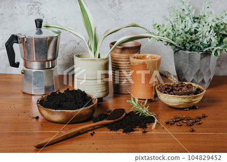 Using used coffee grounds as fertilizer 104829452