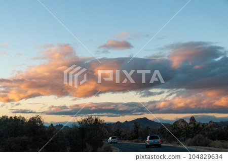 Sunset In Joshua Tree 104829634