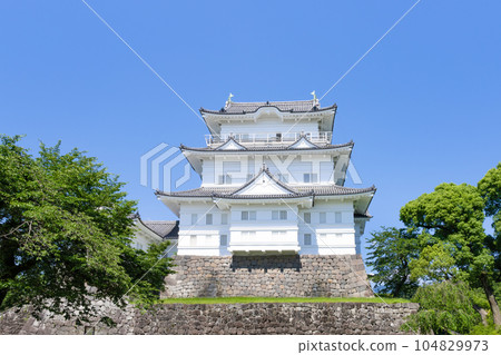 神奈川縣小田原市小田原城 104829973