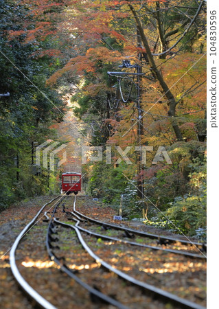 The red cable car of Mt.Tsukuba in autumn, traveling through a tunnel of autumn leaves 104830596