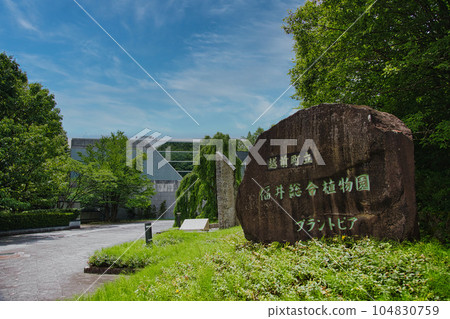 Early Summer Botanical Garden Plantopia Early Summer Botanical Garden Plantopia 104830759