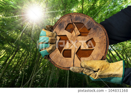 Sustainable Resources - Cross Section of a Tree Trunk with a Wooden Recycle Symbol 104831168