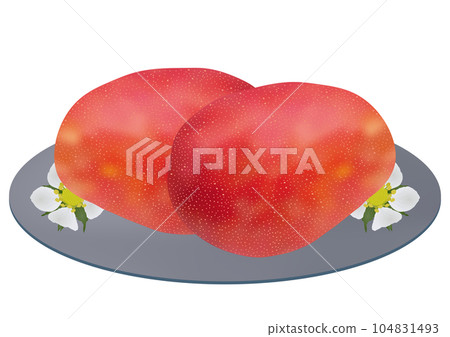 “芒果”灰色盤子盛在盤子上 花卉圖案 104831493