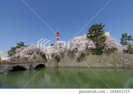 Fukui Castle Ruins and Fukui Prefectural Office in Spring 104831727