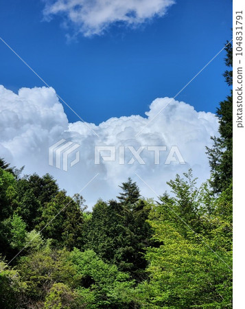 Summer blue sky and Izumo cloud Summer blue sky and Izumo cloud 104831791