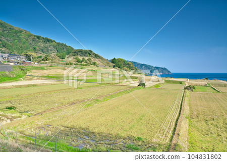[Arai Terraced Rice Fields] Arai, Ine-cho, Yosa-gun, Kyoto Prefecture 104831802