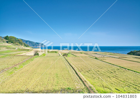 [Arai Terraced Rice Fields] Arai, Ine-cho, Yosa-gun, Kyoto Prefecture 104831803