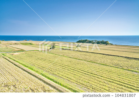 [新井梯田] 京都府與佐郡伊根町新井 104831807