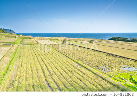 [Arai Terraced Rice Fields] Arai, Ine-cho, Yosa-gun, Kyoto Prefecture 104831808