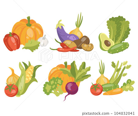 vector illustration of a set of vegetables healthy food vector illustration of a set of vegetables healthy food 104832041