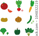 一套 9 幅蔬菜插圖 104832219