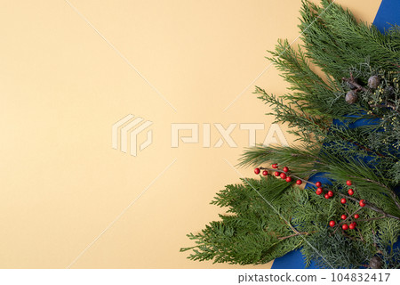 Background for text with thuja, juniper, berries and cinnamon. Yellow and blue. Background for text with thuja, juniper, berries and cinnamon. Yellow and blue. 104832417