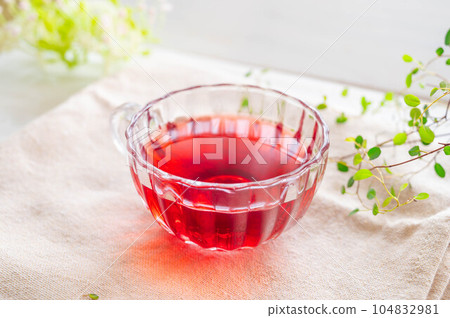 芙蓉茶 芙蓉茶 104832981