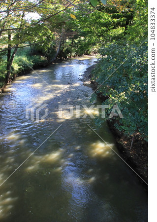 Cool off in the clear stream [At Ichinogawa, Namerikawa-cho, Hiki-gun, Saitama Prefecture] 104833374