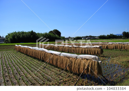 曬米架的風景【埼玉縣比企郡滑川町內】 104833384