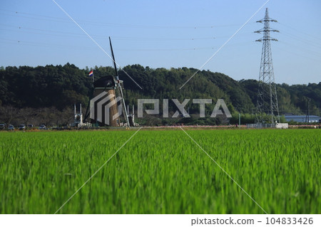 Landscape with rice fields, overlooking the windmills of Sakura Furusato Hiroba [At Sakura Furusato Hiroba, Sakura City, Chiba Prefecture] 104833426
