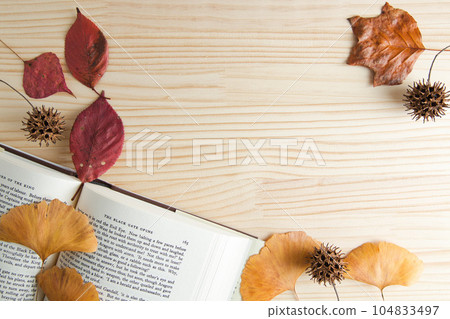 木桌上的落葉和書籍 104833497