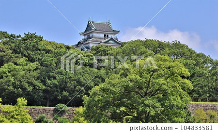 [包含視頻]和歌山城（和歌山縣和歌山市） 104833581