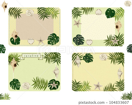 Summer frame [shell, palm, monstera] illustration material 104833607