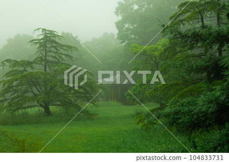 Fog wrapped in fog Fog wrapped in fog 104833731