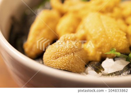 日式餐桌、海膽蓋飯、三文魚海膽蓋飯、家常菜 104833862