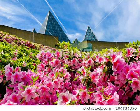 Azalea Sand Museum Shimane Azalea Sand Museum Shimane 104834350