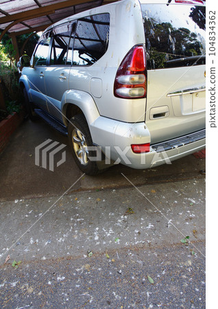 烏鴉糞便 烏鴉糞便 104834362