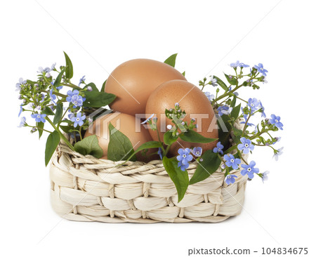 Easter card. Blue forget-me-not and eggs lie in basket on white background 104834675