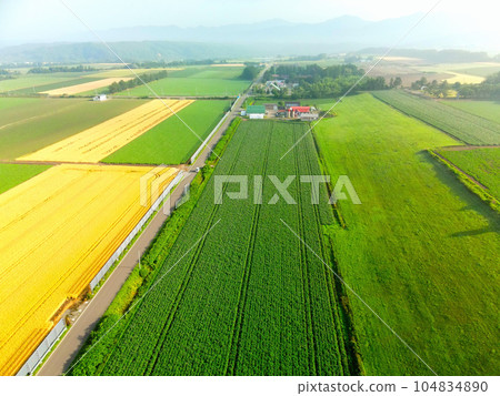 Shoot rural scenery in Imakane-cho, Hokkaido in summer 104834890