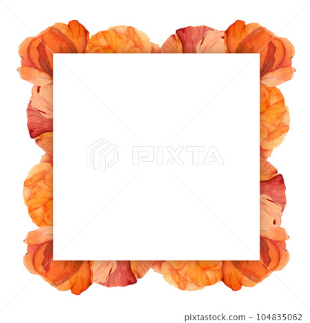 Watercolor square frame composition with hand drawn summer bright red poppy flowers. Isolated on white background. Design for invitations, wedding, love or greeting cards, paper, print, textile 104835062