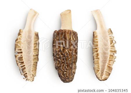 raw morel mushroom isolated on white background with full depth of field. Top view. Flat lay. raw morel mushroom isolated on white background with full depth of field. Top view. Flat lay. 104835345