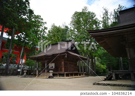 高野山通往壇上伽藍的波紋路景觀 高野山通往壇上伽藍的波紋路景觀 104836214