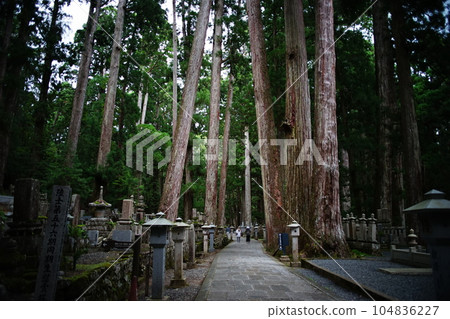 Scenery of the approach to Okunoin on Mt. Koya Scenery of the approach to Okunoin on Mt. Koya 104836227