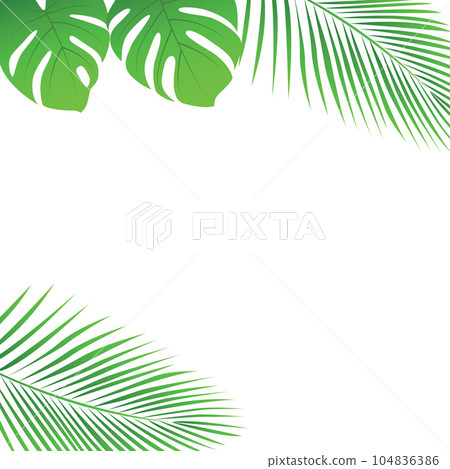 tropical palm leaves border summer holiday design isolated 104836386