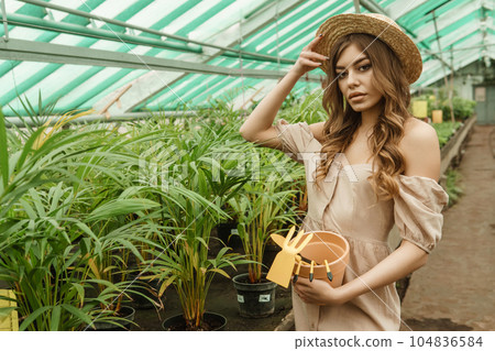 A beautiful young woman takes care of plants in a greenhouse. The concept of gardening and an eco-friendly lifestyle. 104836584