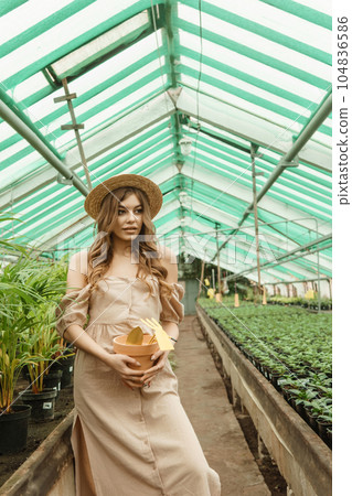 A beautiful young woman takes care of plants in a greenhouse. The concept of gardening and an eco-friendly lifestyle. 104836586