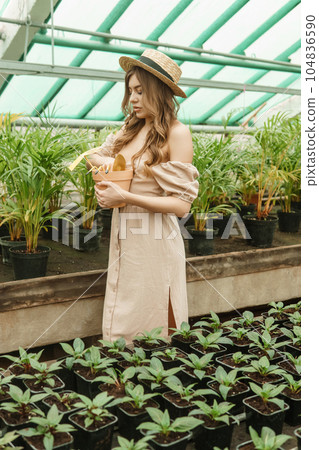 A beautiful young woman takes care of plants in a greenhouse. The concept of gardening and an eco-friendly lifestyle. A beautiful young woman takes care of plants in a greenhouse. The concept of gardening and an eco-friendly lifestyle. 104836590